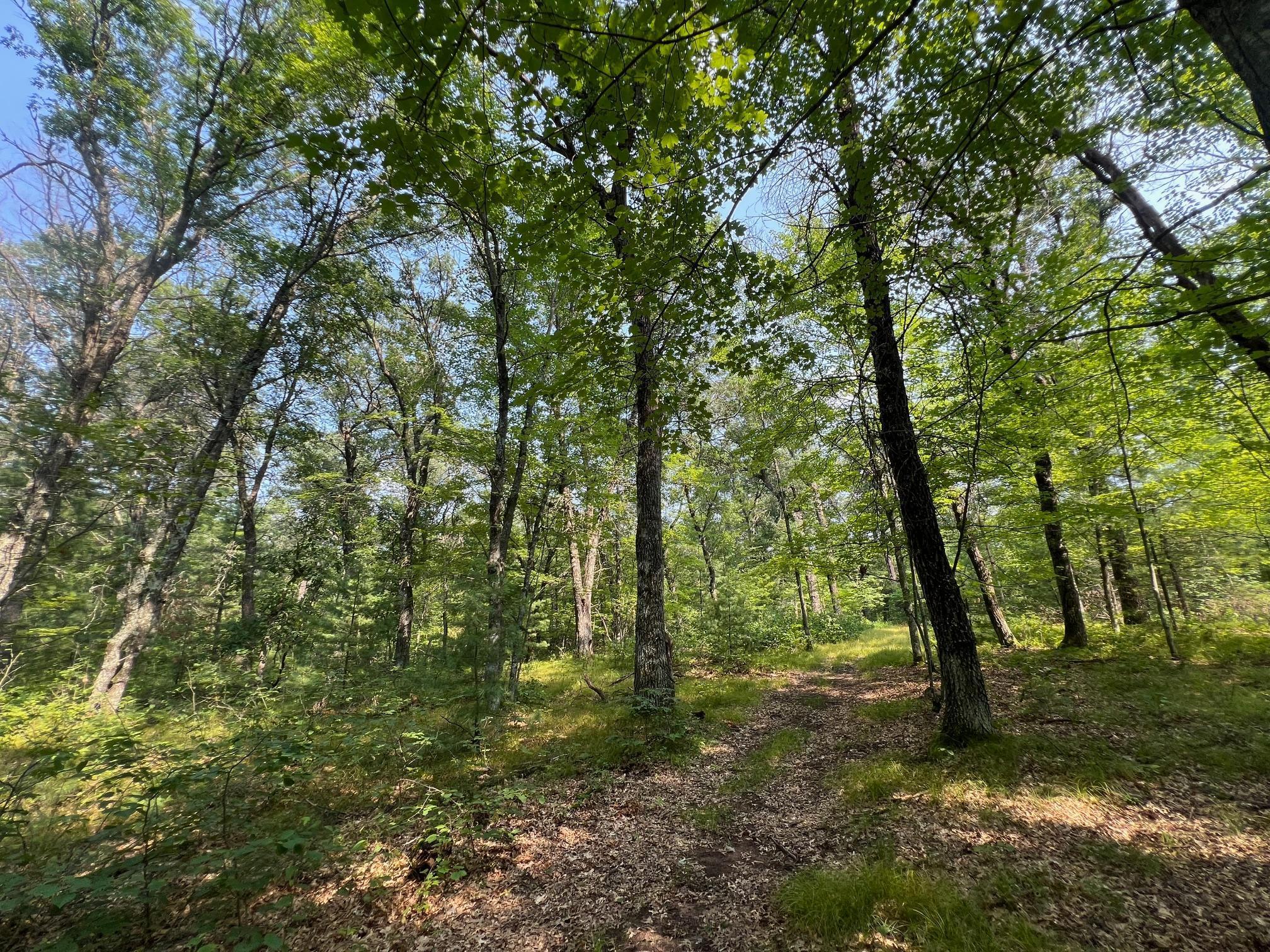 Xxxxx Mclain Road, Grantsburg, Wisconsin image 1