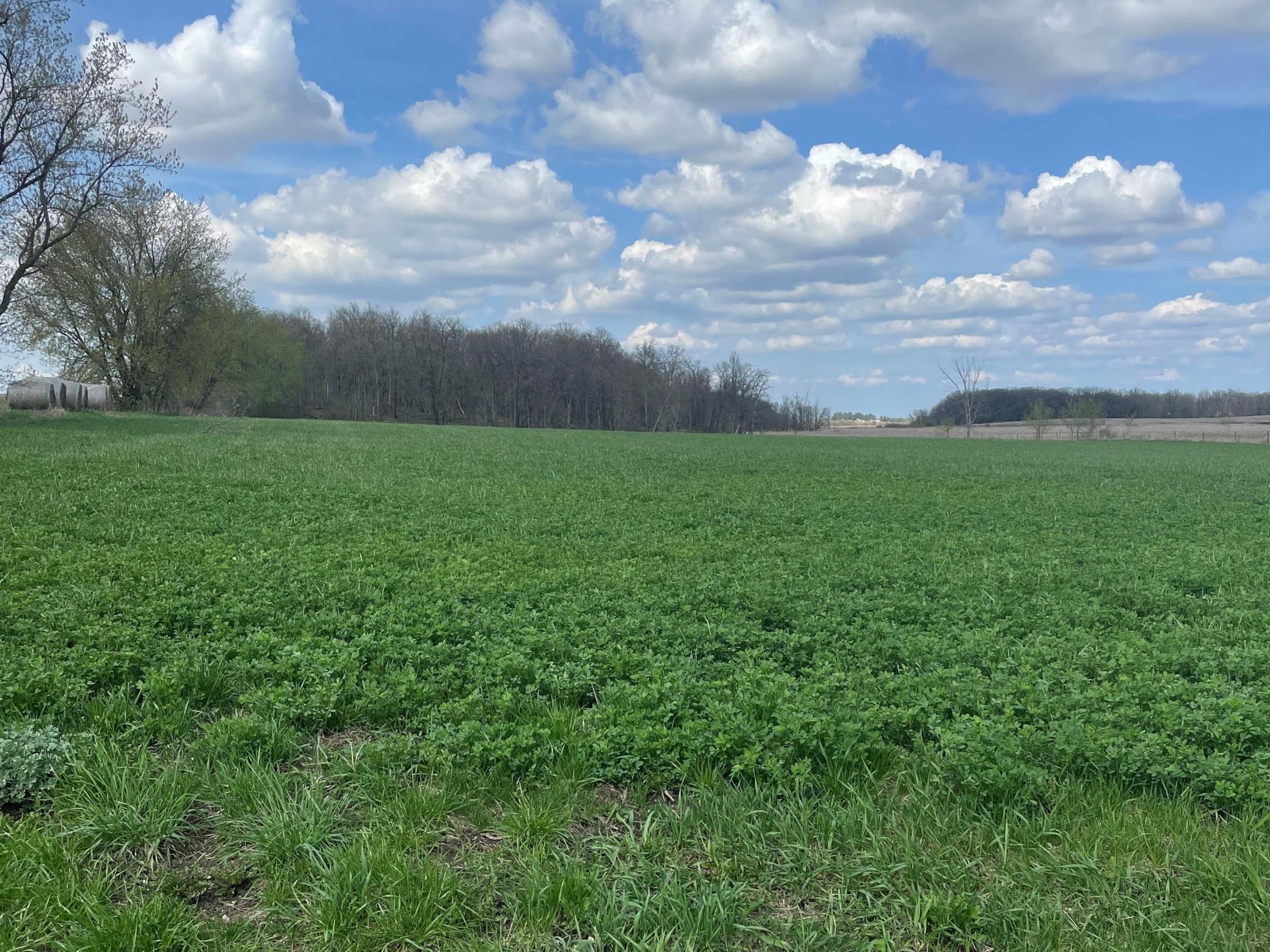 TBD State 27, Long Prairie, Minnesota image 1