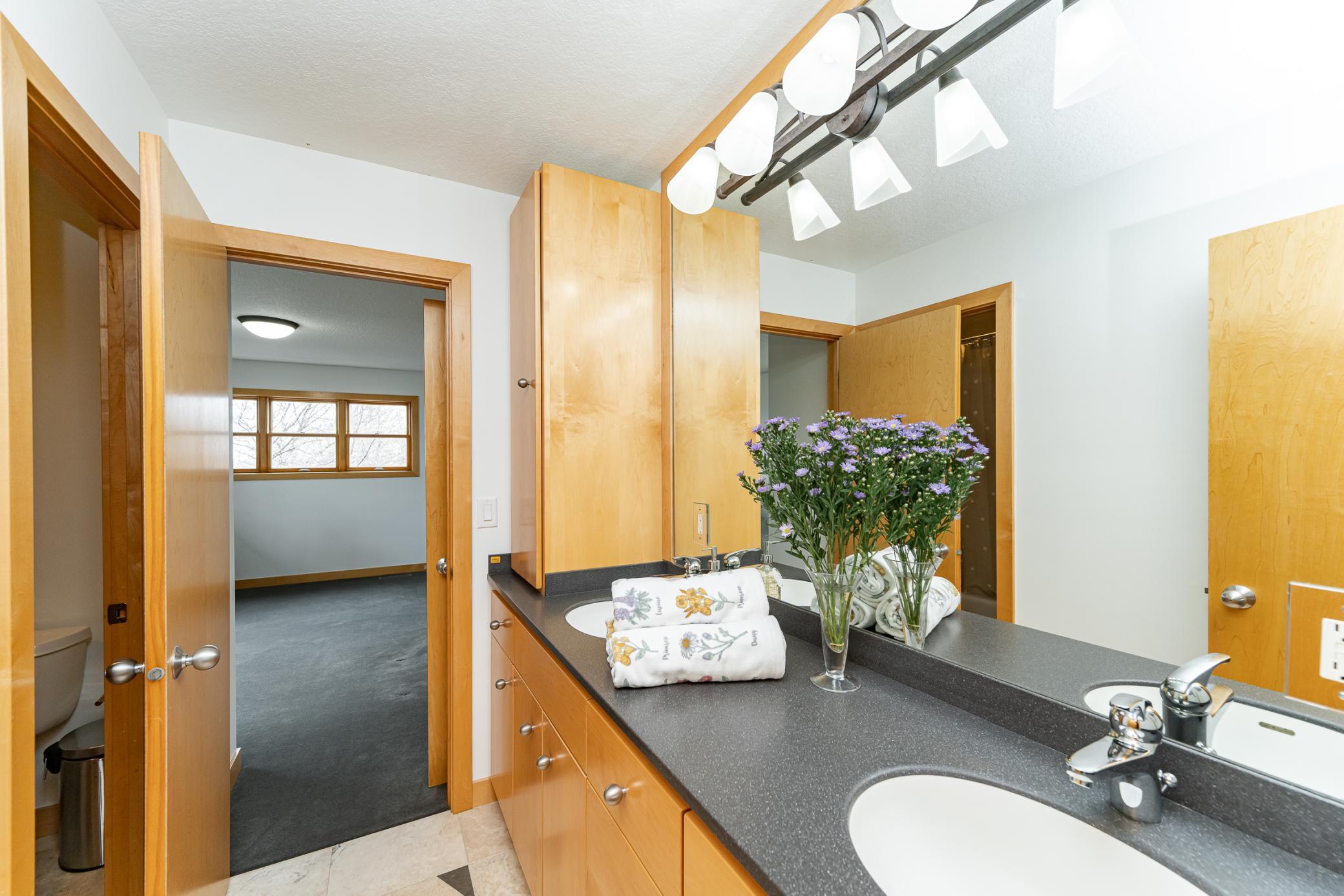 296 Wimbledon Hills Drive, Rochester, Minnesota image 40