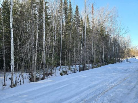 Vacant Land For Sale - TBD 4TH AVENUE 22nd Street<br/> International Falls, MN 56649