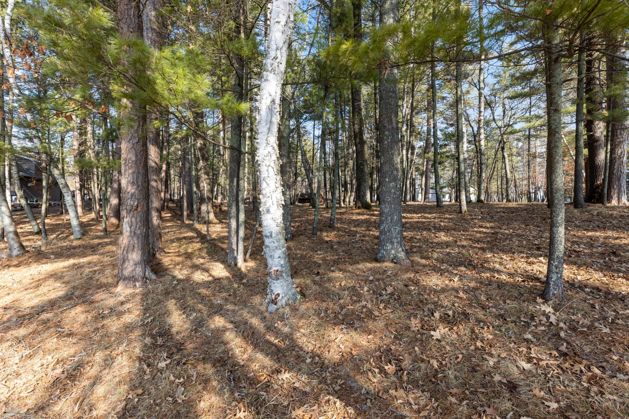 Lot 1 Staley Lane, Crosslake, Minnesota image 22