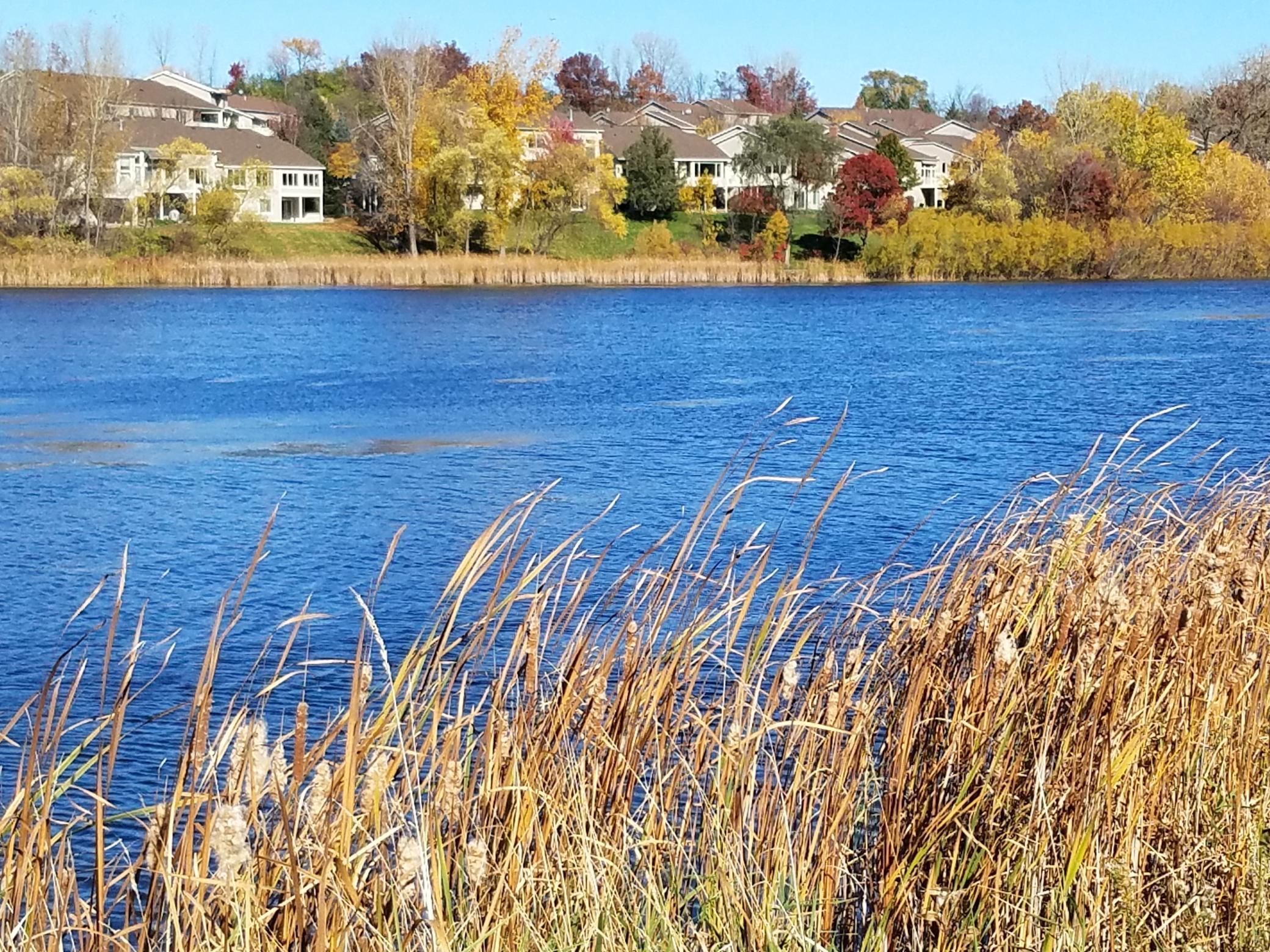 14599 Summit Shores Drive, Burnsville, Minnesota image 37
