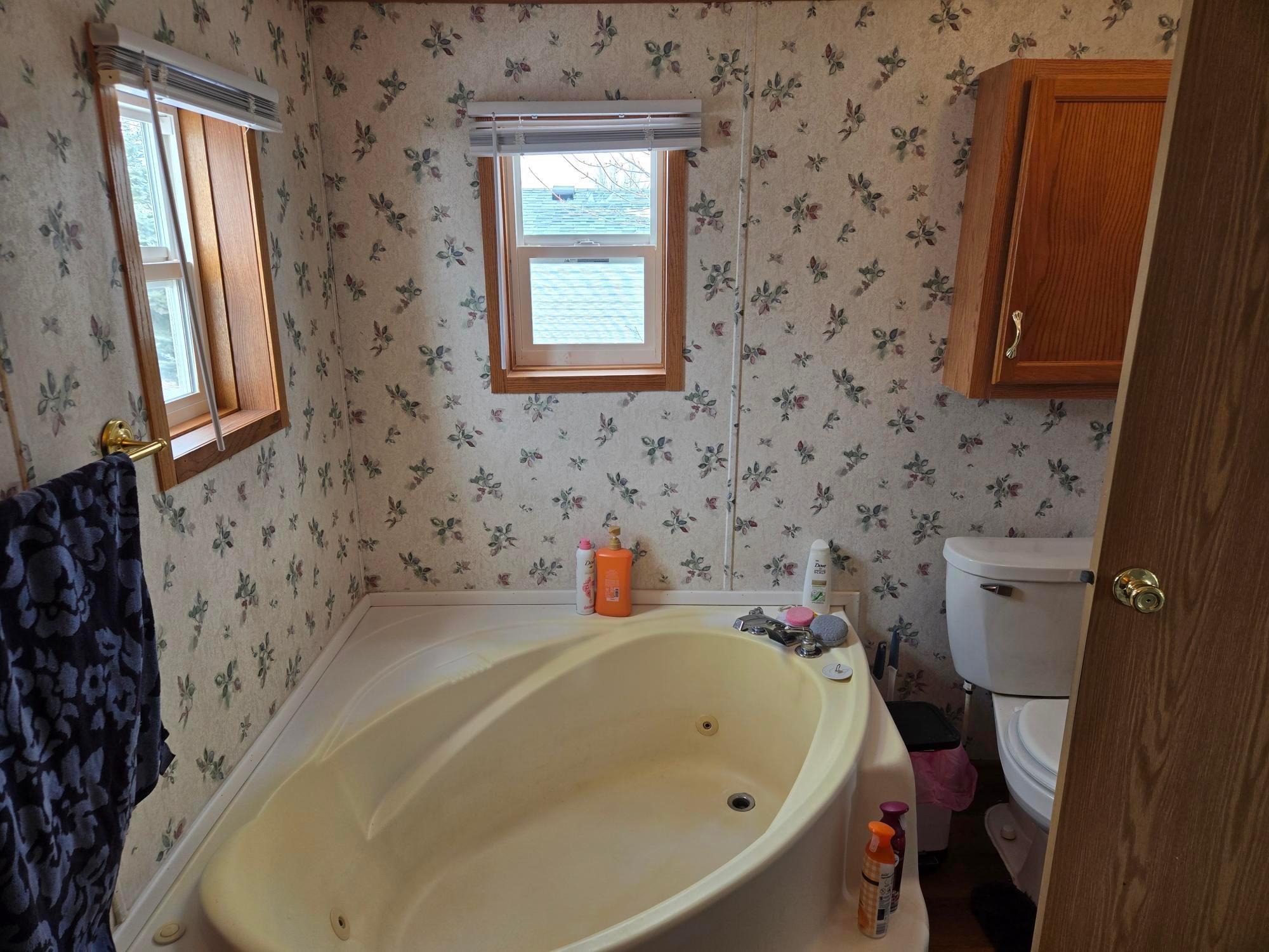 4225 Daisy Avenue, Rochester, Minnesota image 10