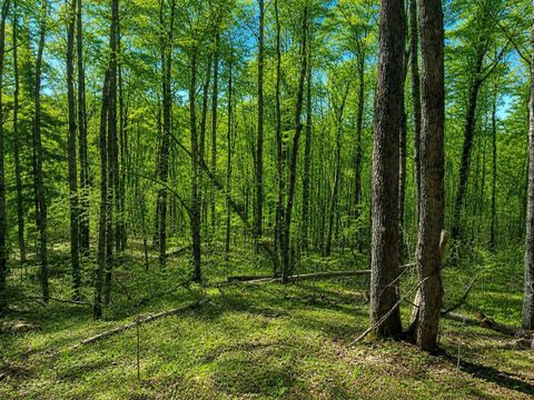 Vacant Land For Sale - XXX Tbd<br/> Carlton County, Barnum, MN 55707
