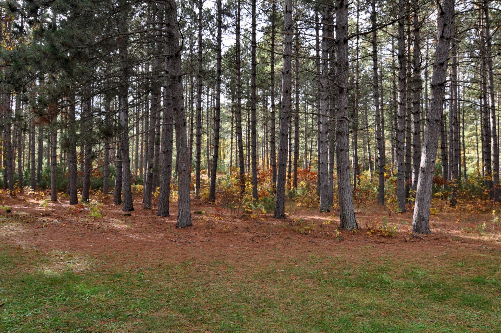 17744 253rd Avenue, Nevis, Minnesota image 34