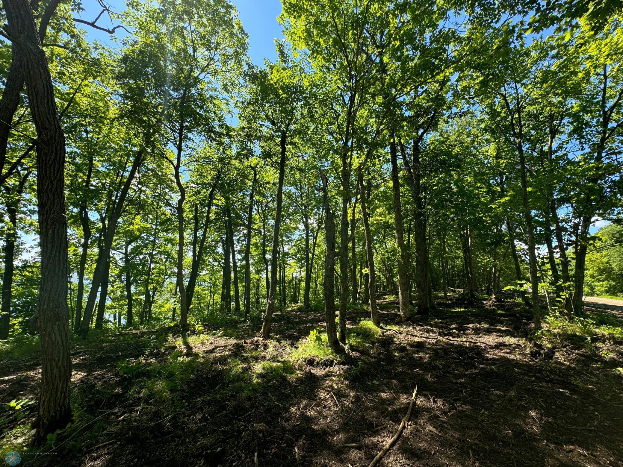 TRACT E County Rd 112, Waubun, Minnesota image 18