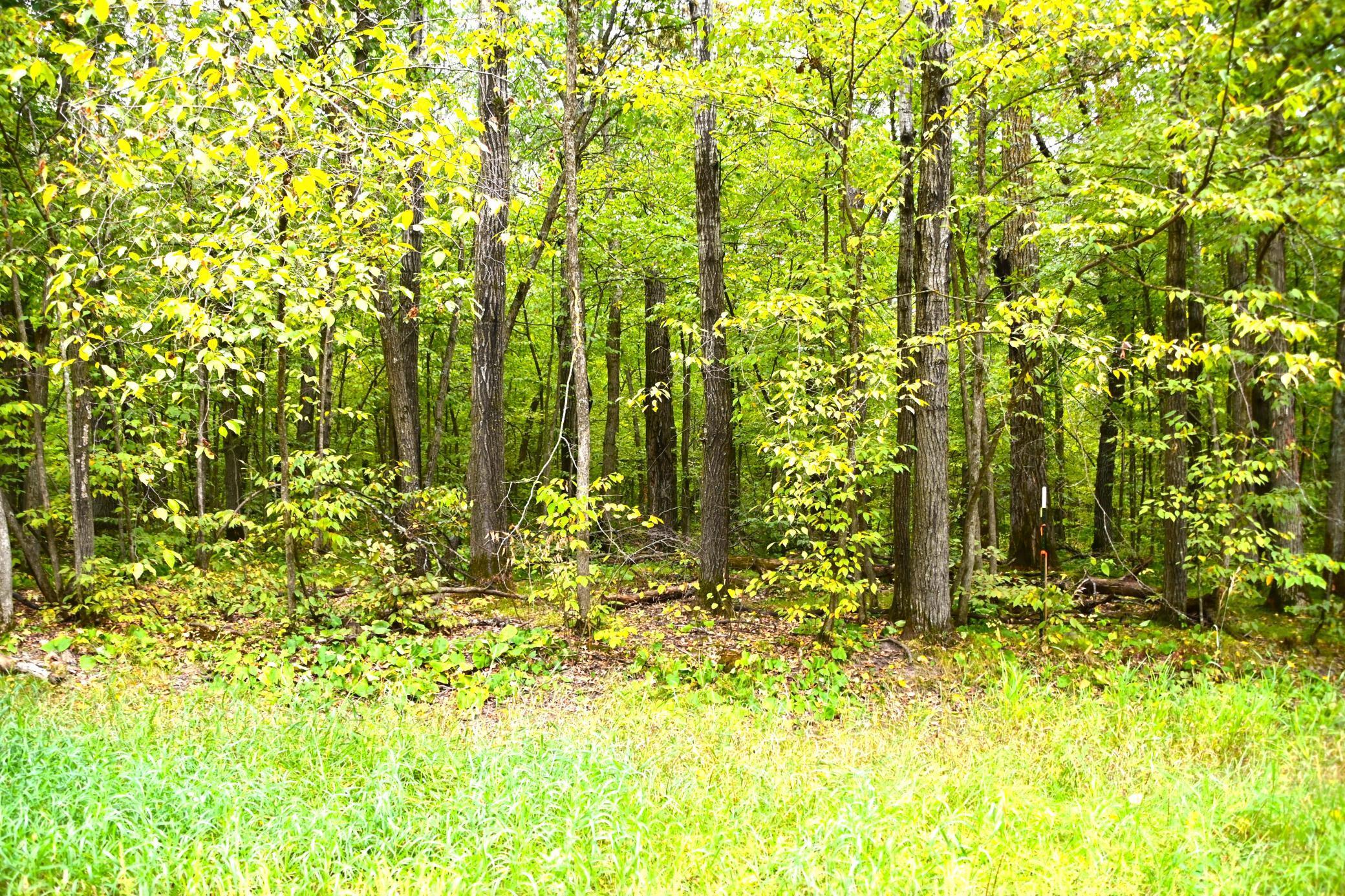 XX Ode Circle, Browerville, Minnesota image 1