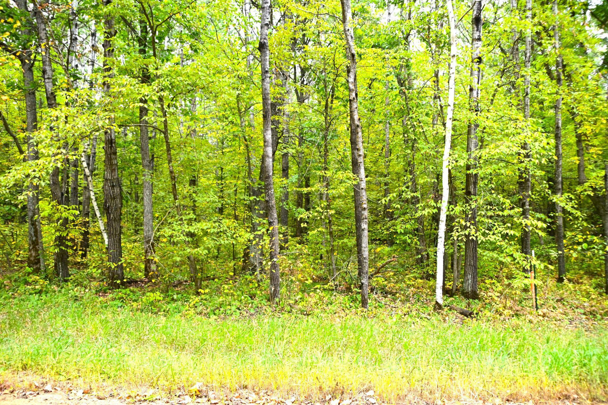 XX Ode Circle, Browerville, Minnesota image 2