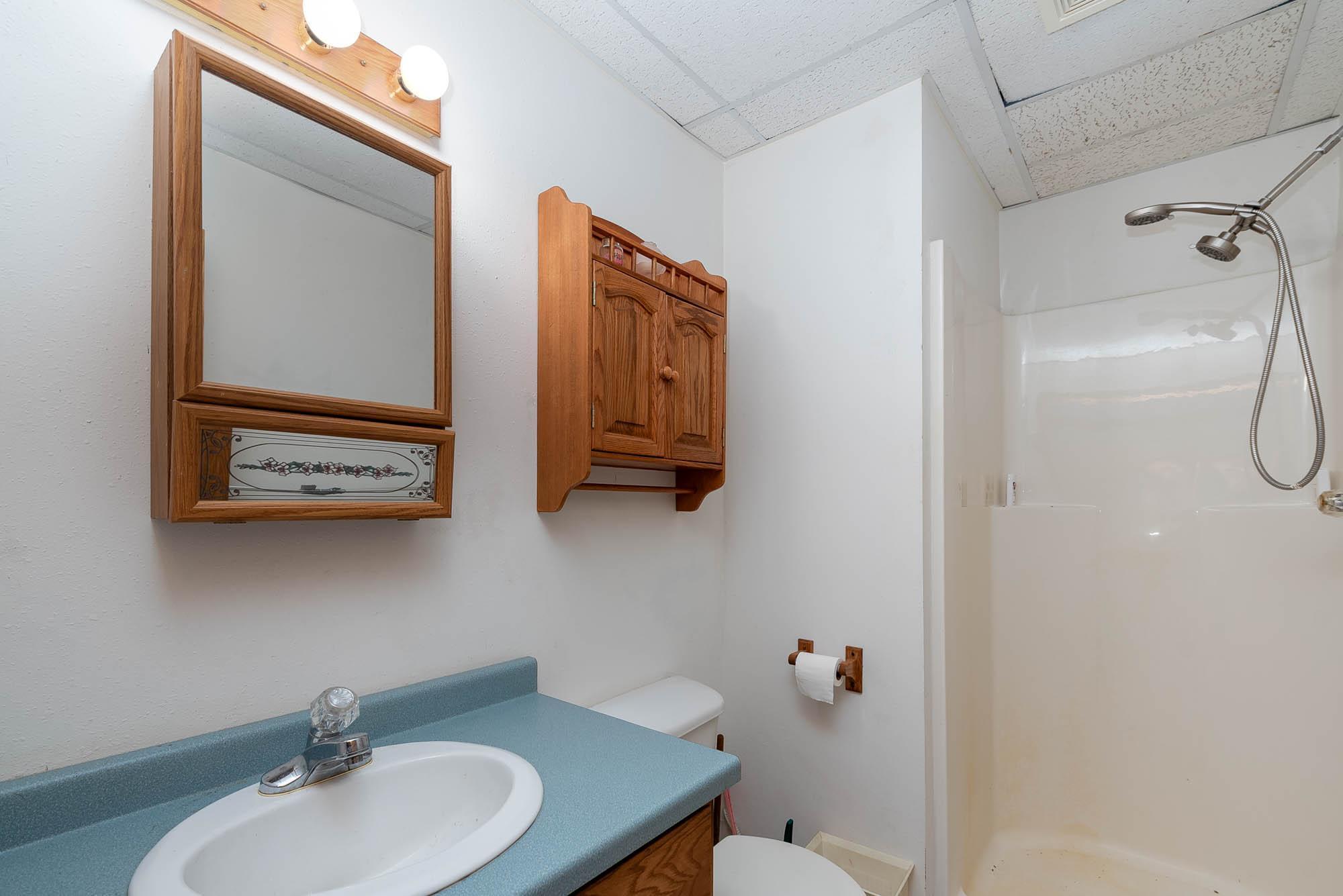 52742 134th Street, Vernon Center, Minnesota image 17