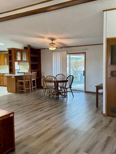 15182 310th Street, New Prague, Minnesota image 11
