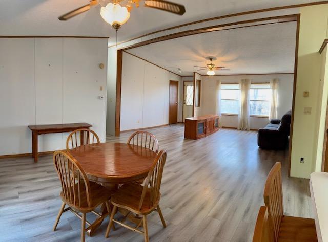 15182 310th Street, New Prague, Minnesota image 7