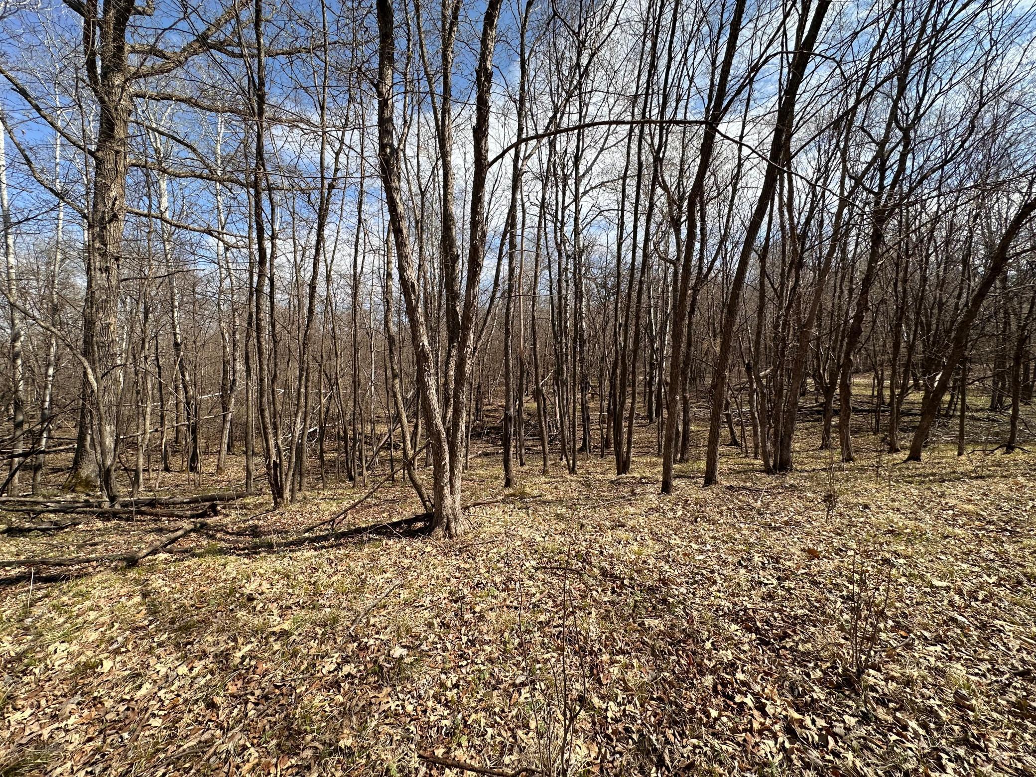 TBD Long Lake Road, Richville, Minnesota image 13