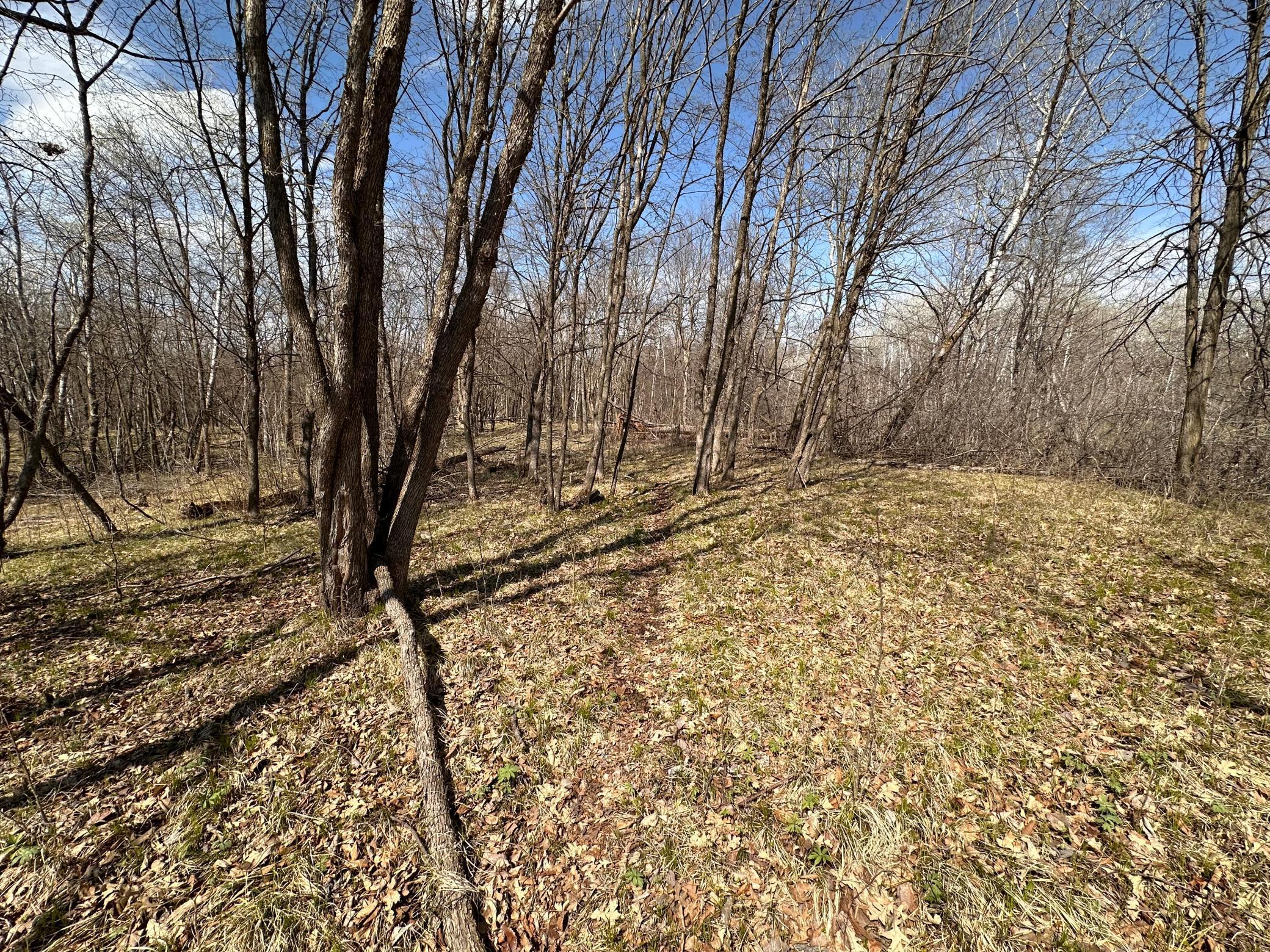 TBD Long Lake Road, Richville, Minnesota image 15