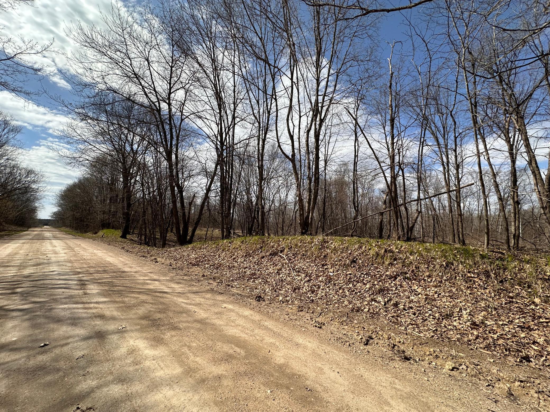 TBD Long Lake Road, Richville, Minnesota image 23
