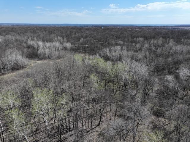 TBD Long Lake Road, Richville, Minnesota image 5