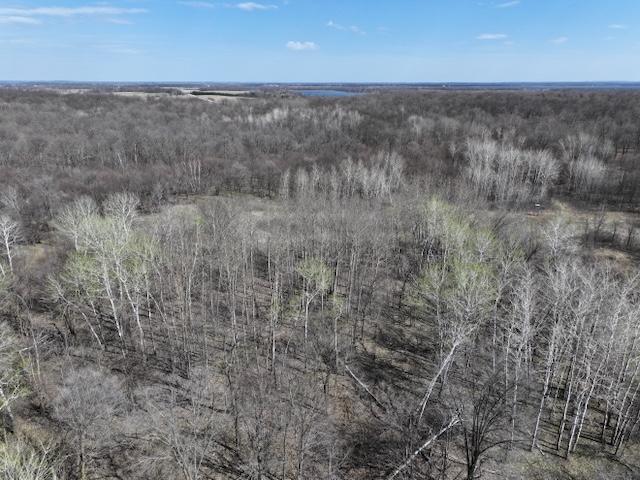 TBD Long Lake Road, Richville, Minnesota image 6