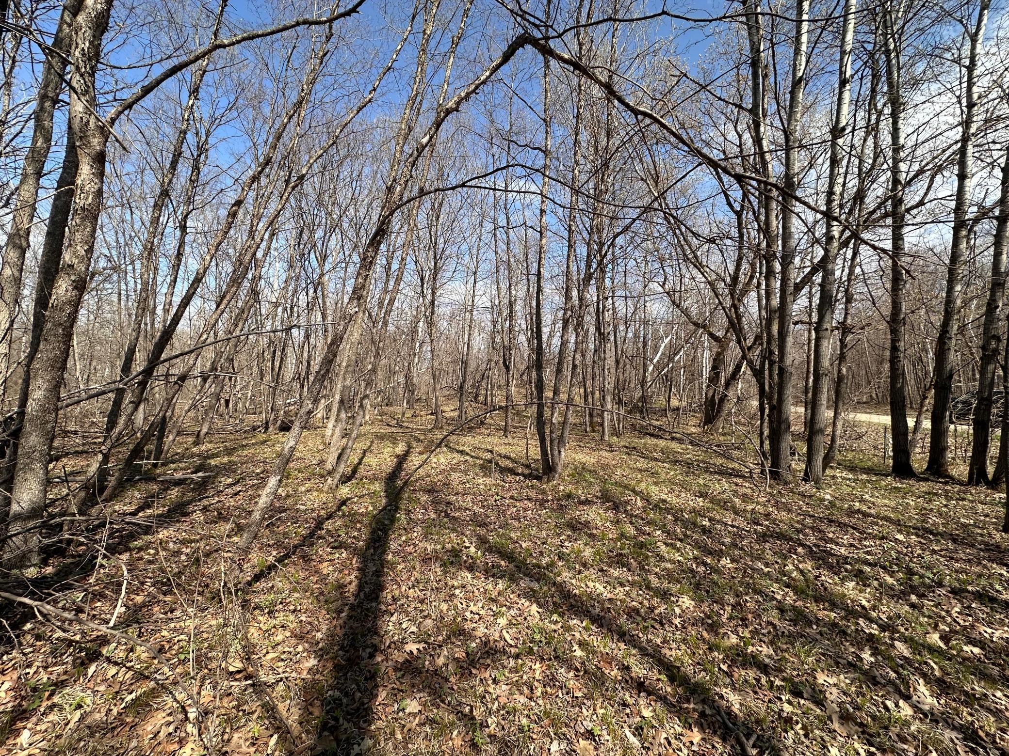TBD Long Lake Road, Richville, Minnesota image 12