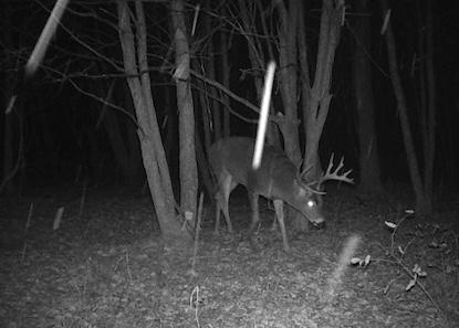 TBD Long Lake Road, Richville, Minnesota image 26