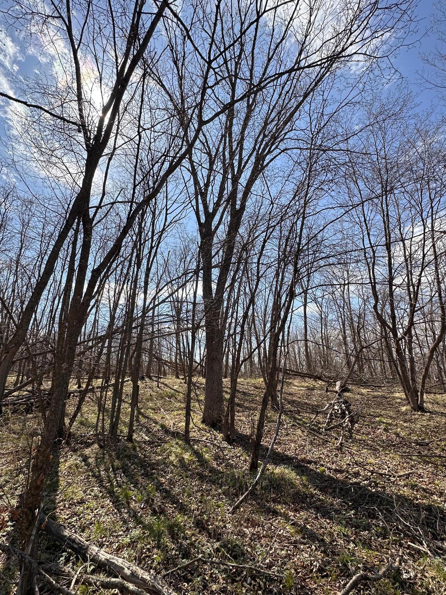 TBD Long Lake Road, Richville, Minnesota image 22
