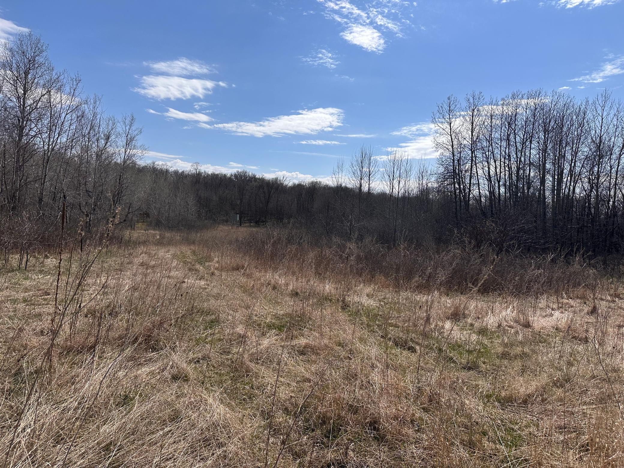 TBD Long Lake Road, Richville, Minnesota image 17