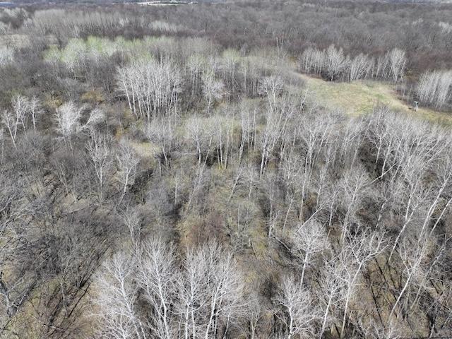 TBD Long Lake Road, Richville, Minnesota image 7