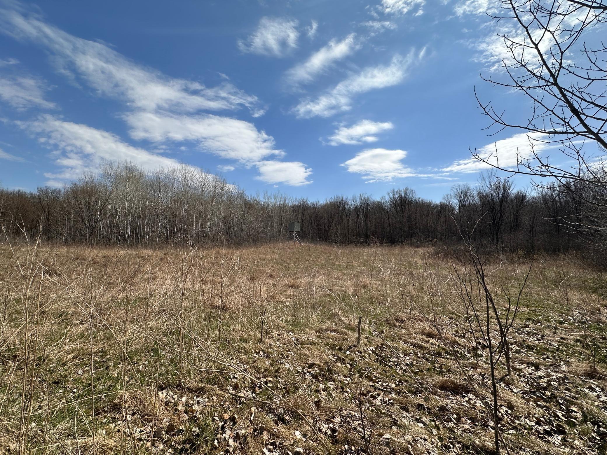 TBD Long Lake Road, Richville, Minnesota image 20