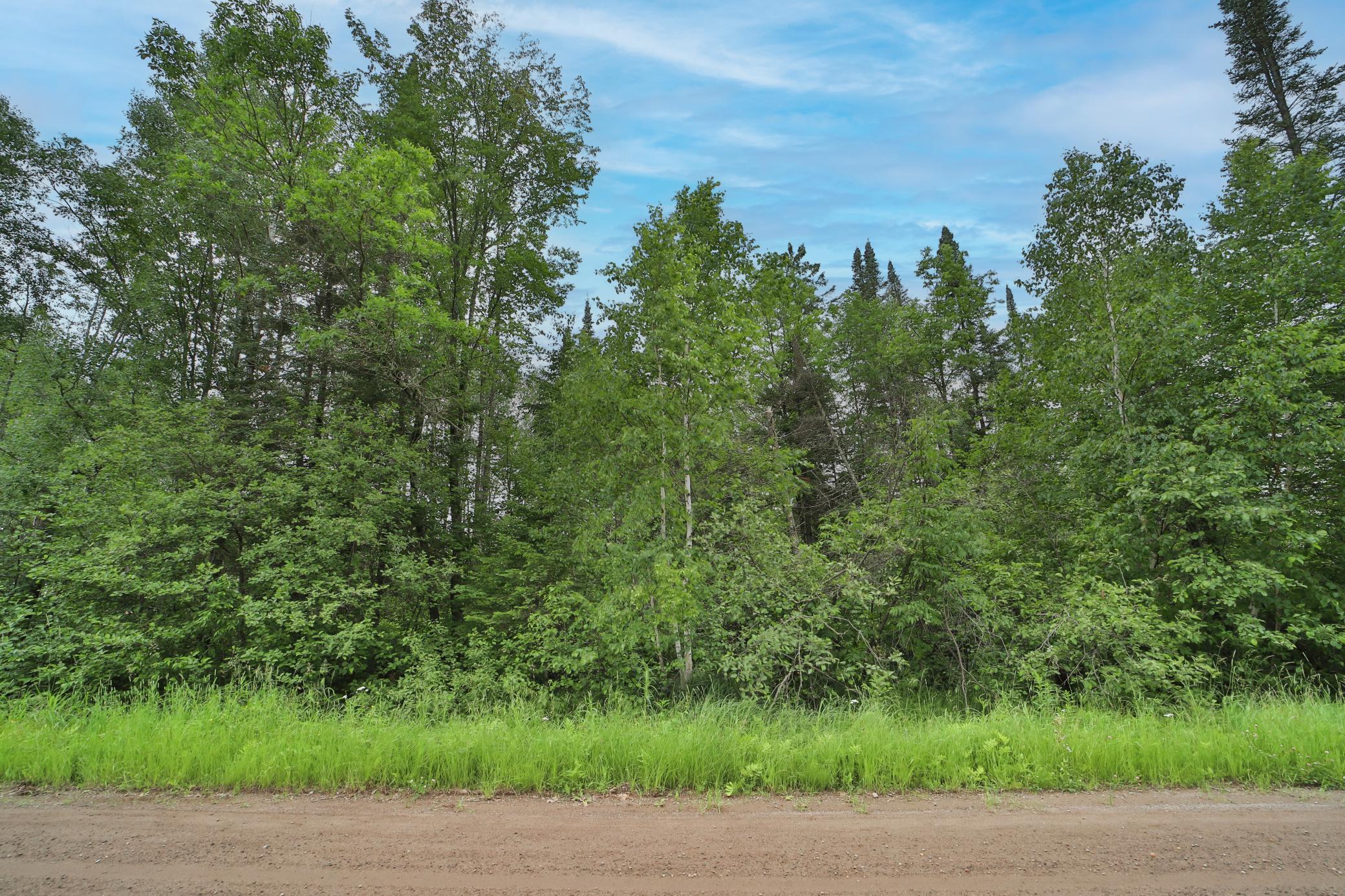 XXX Kestrel Avenue, Tamarack, Minnesota image 8