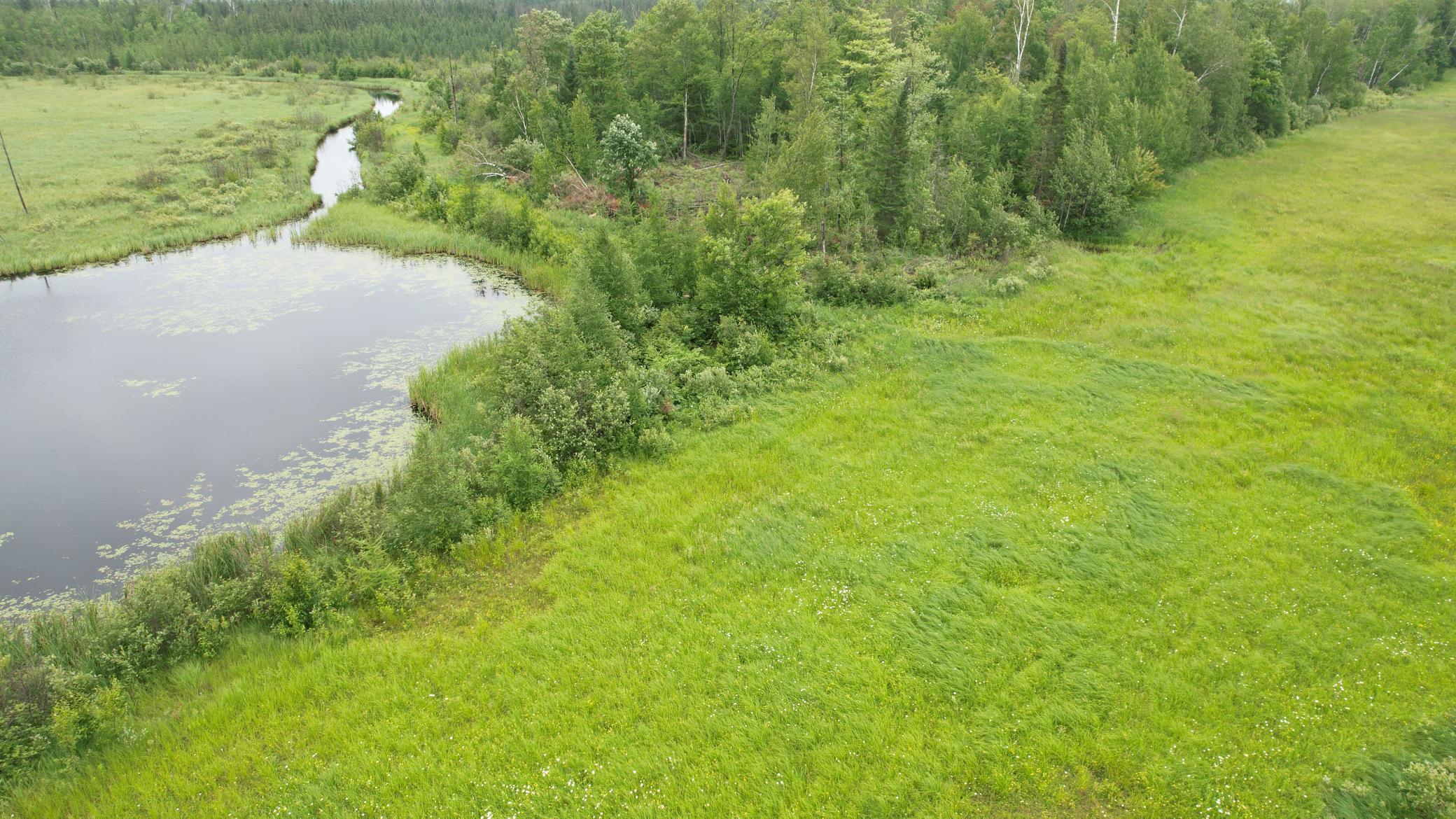 XXX Kestrel Avenue, Tamarack, Minnesota image 25