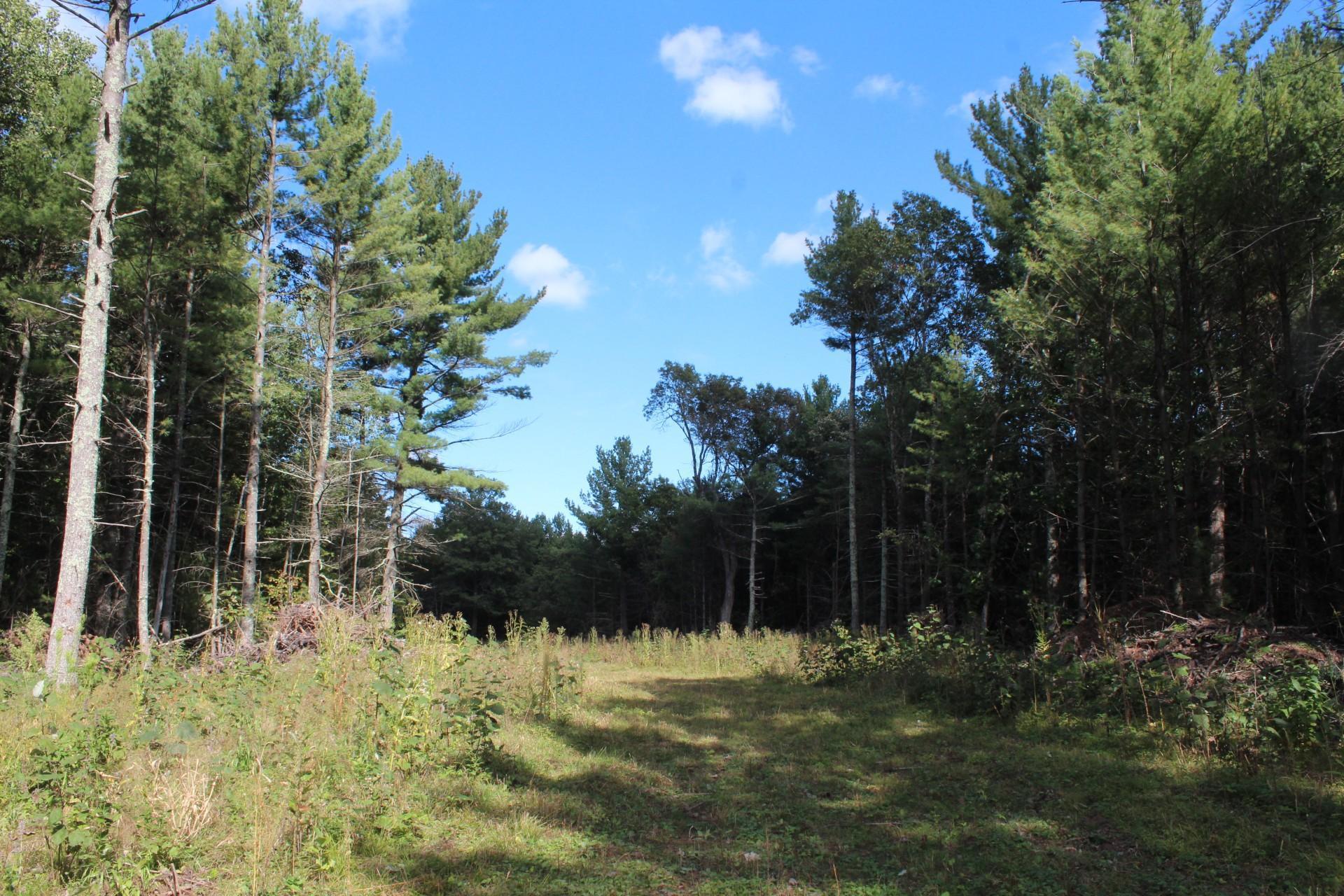 XXX Hay Creek Boulevard, Grantsburg, Wisconsin image 9