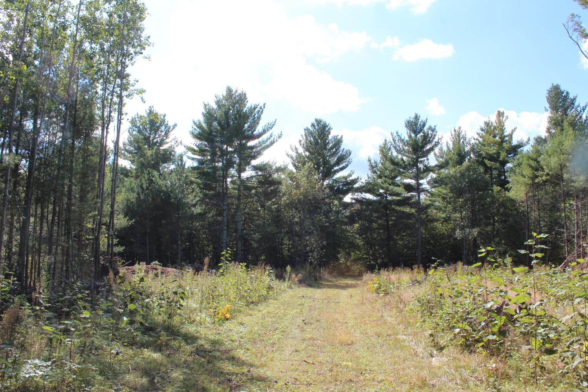 XXX Hay Creek Boulevard, Grantsburg, Wisconsin image 8