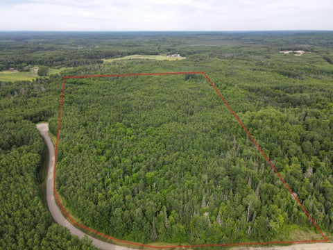 Vacant Land For Sale - TBD Longfellow Rd<br/> Cook, MN 55723