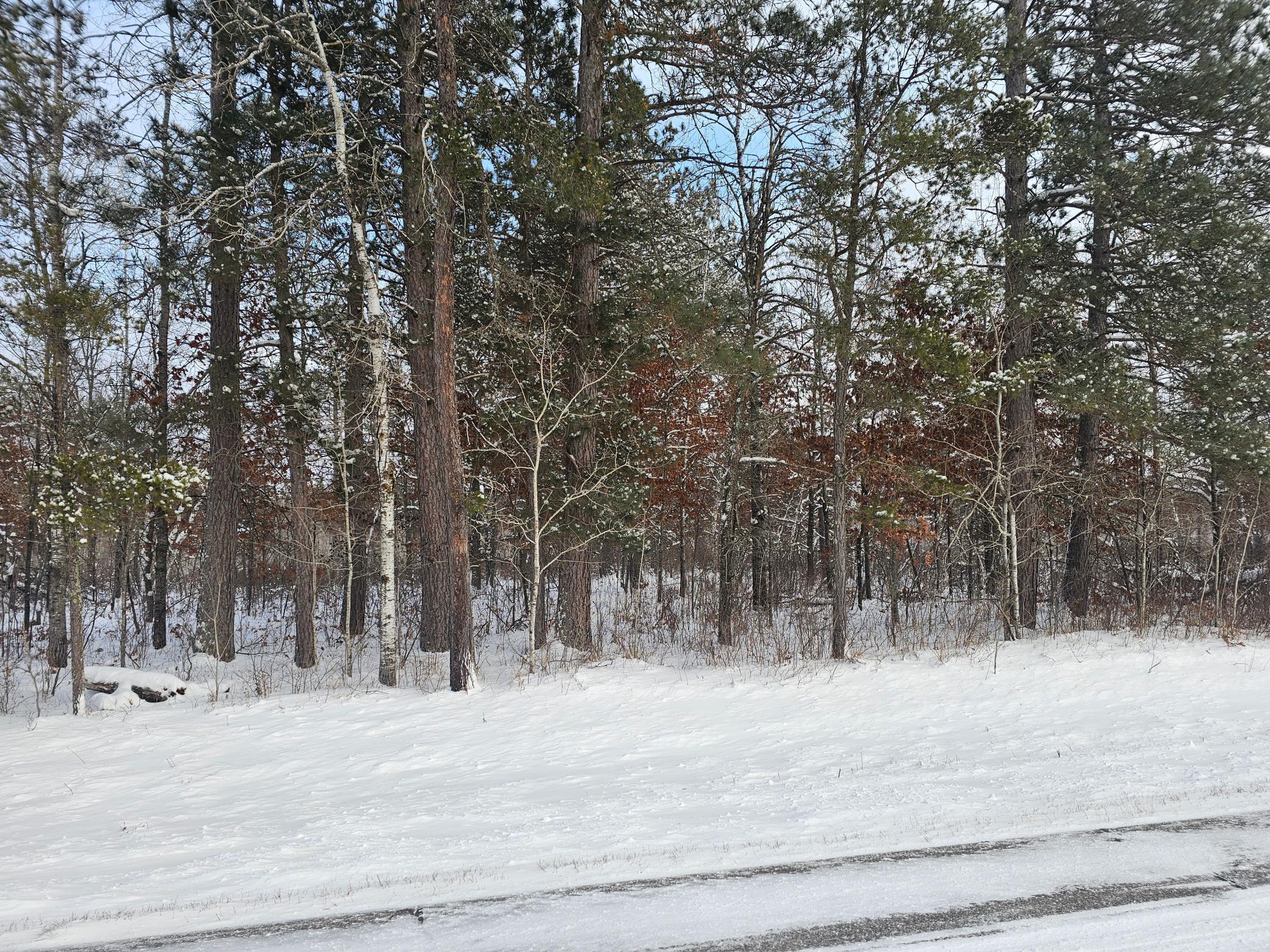 Parcel A County Road 36, Crosby, Minnesota image 9