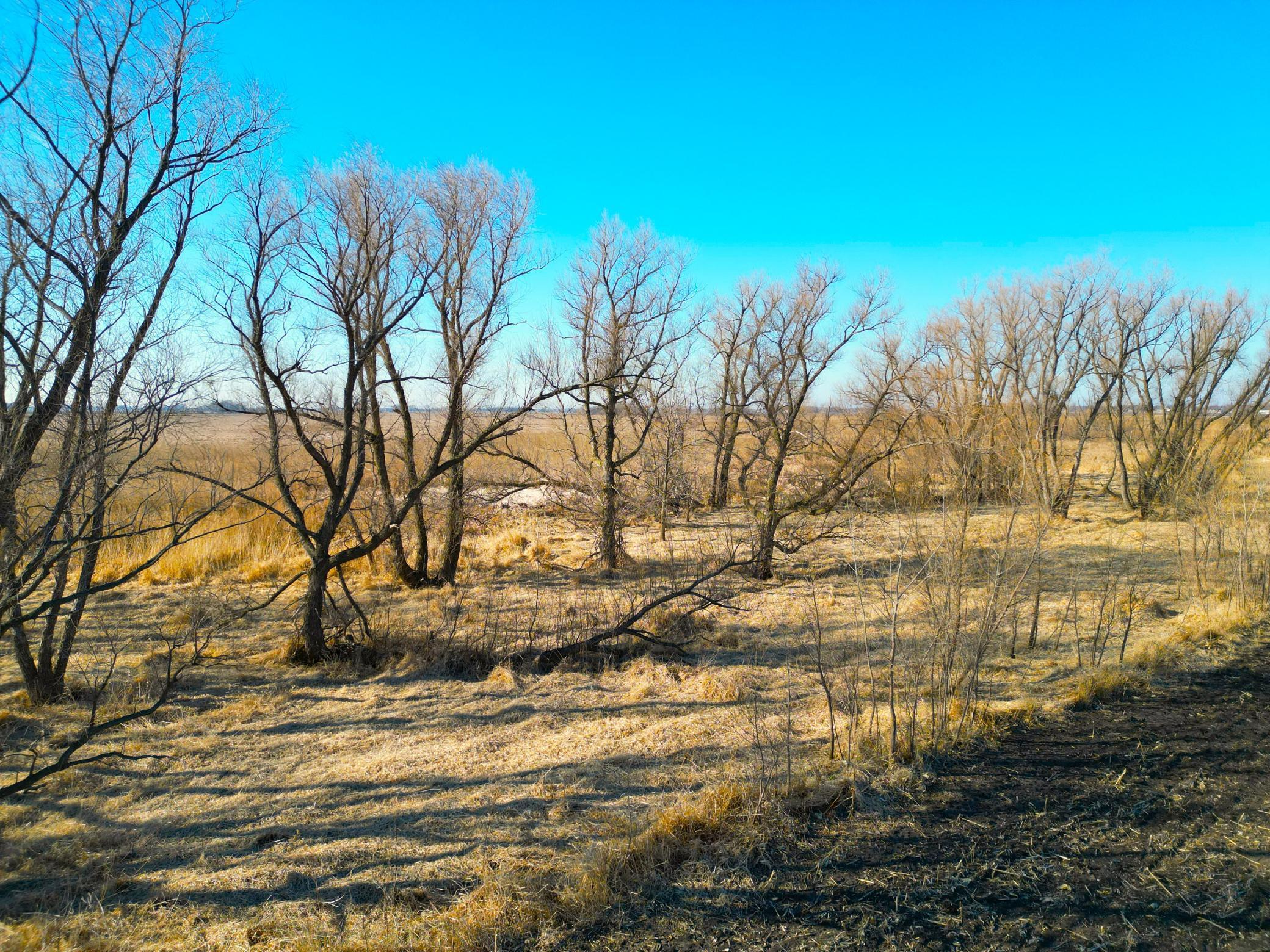 XXX Highway 99, Nicollet, Minnesota image 17