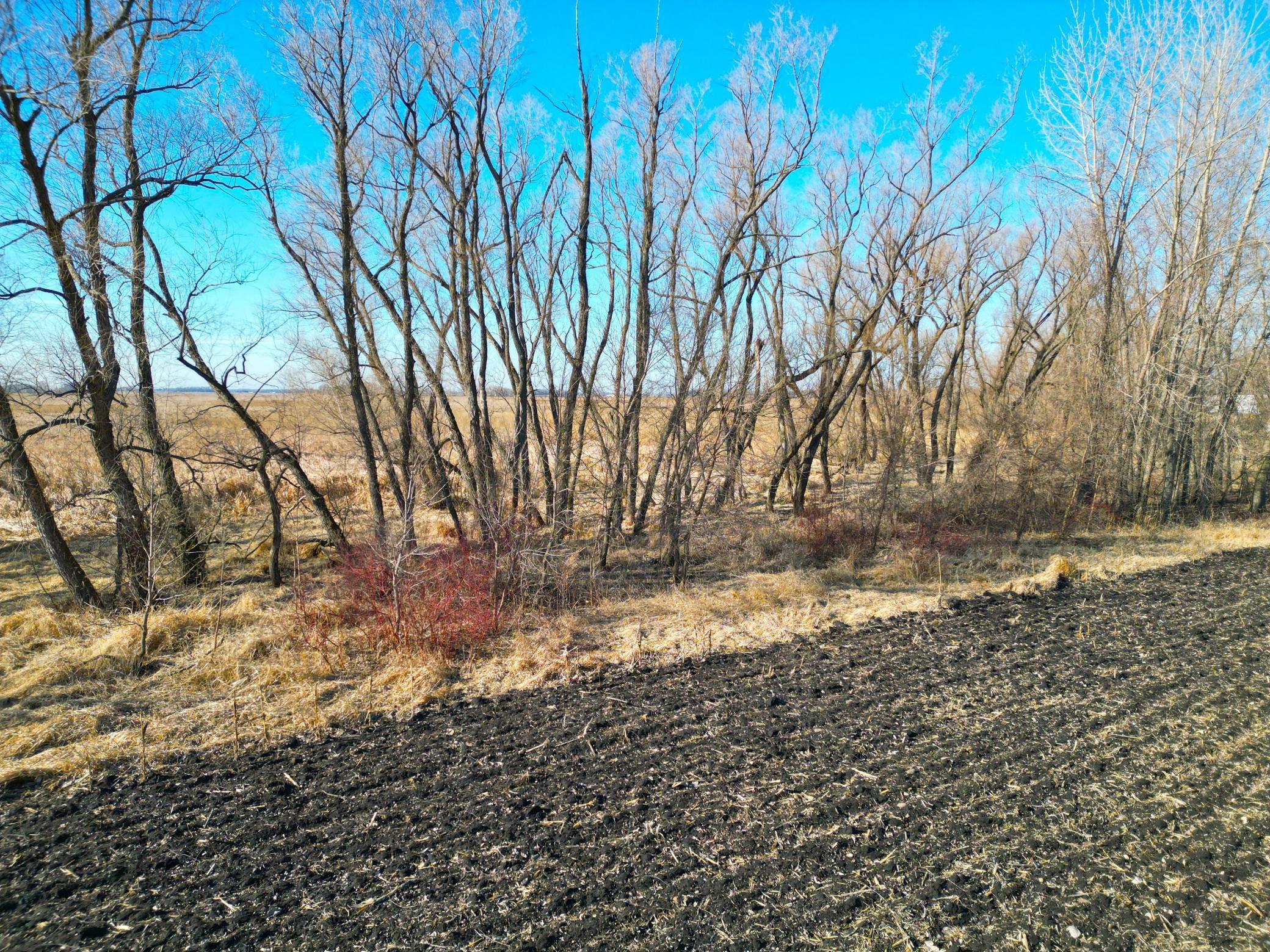 XXX Highway 99, Nicollet, Minnesota image 13