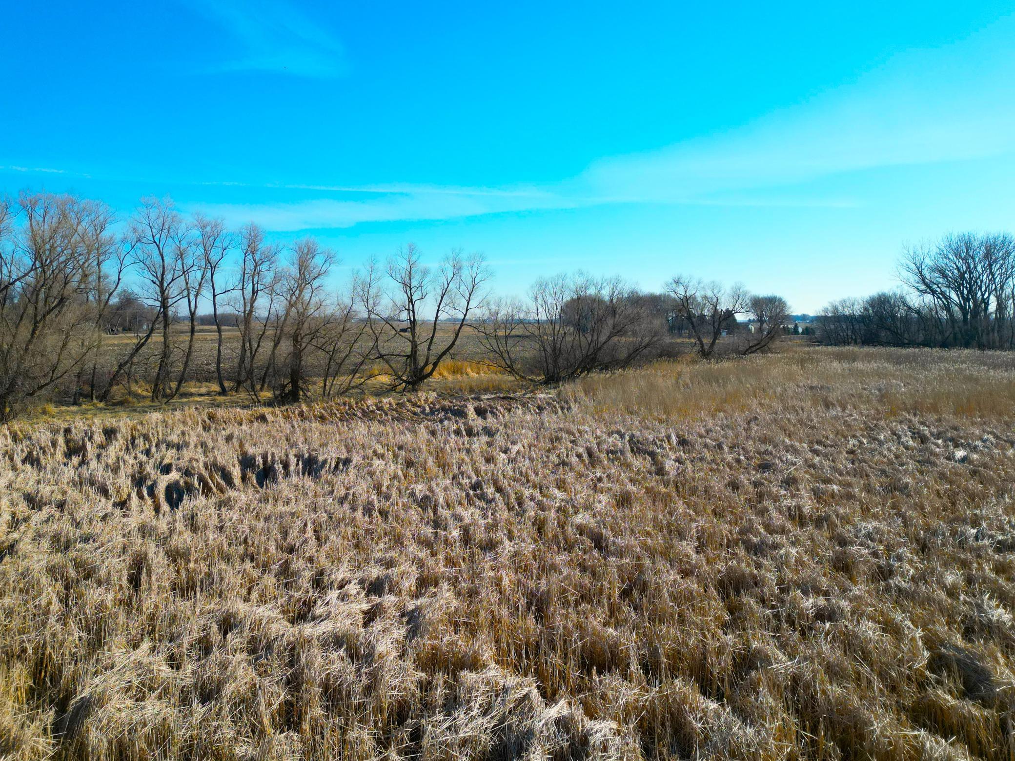XXX Highway 99, Nicollet, Minnesota image 22