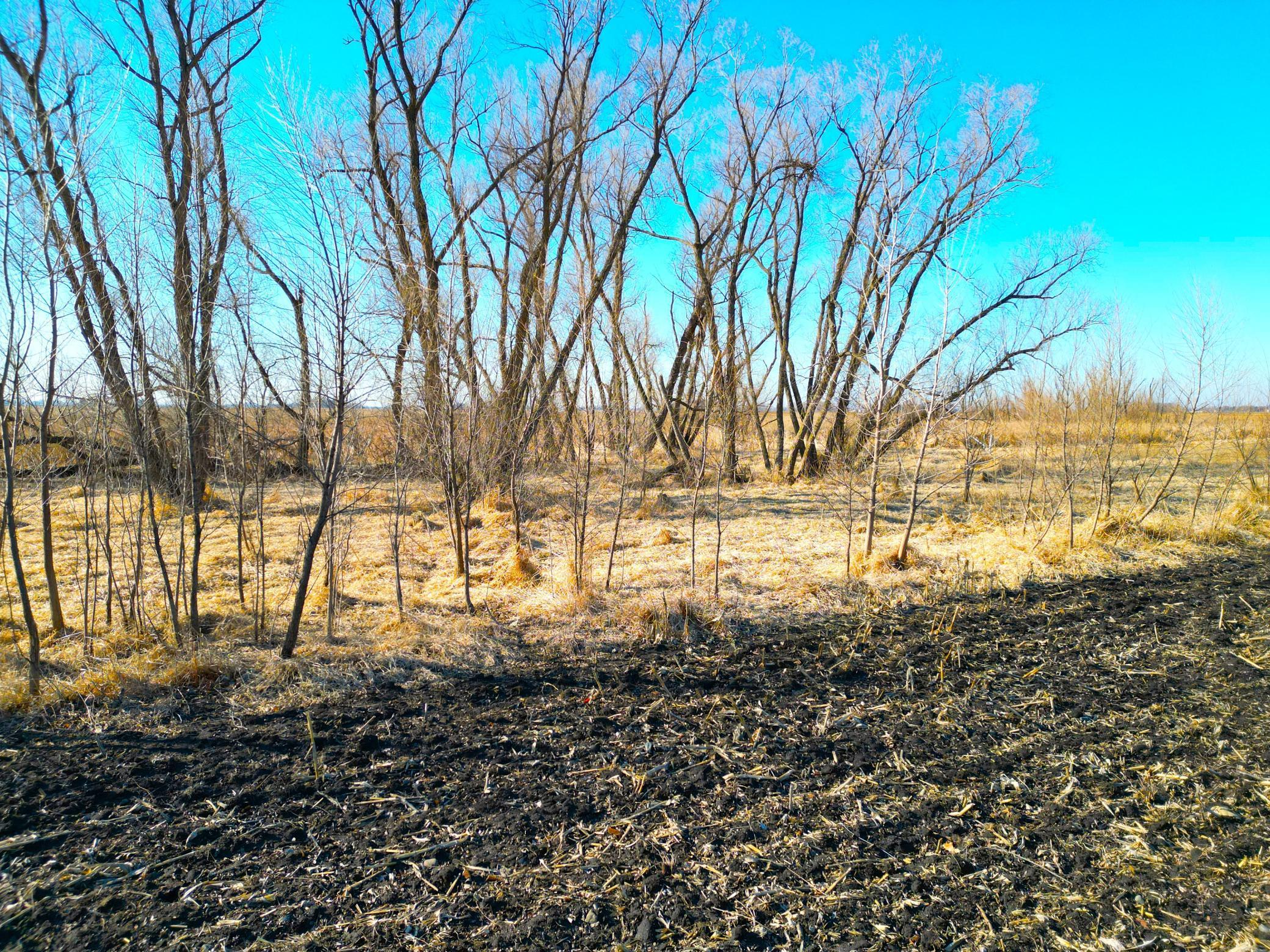 XXX Highway 99, Nicollet, Minnesota image 18