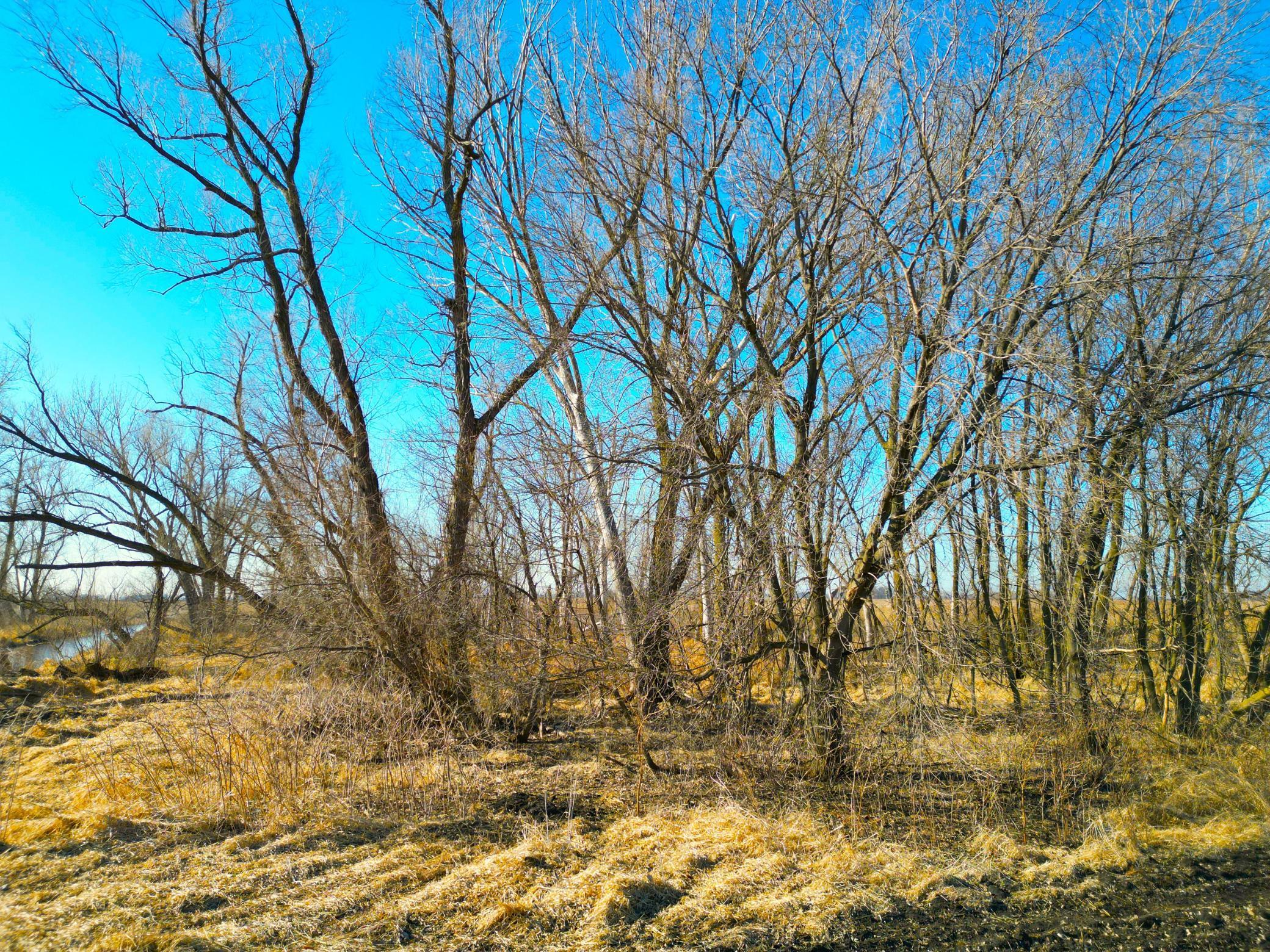 XXX Highway 99, Nicollet, Minnesota image 7