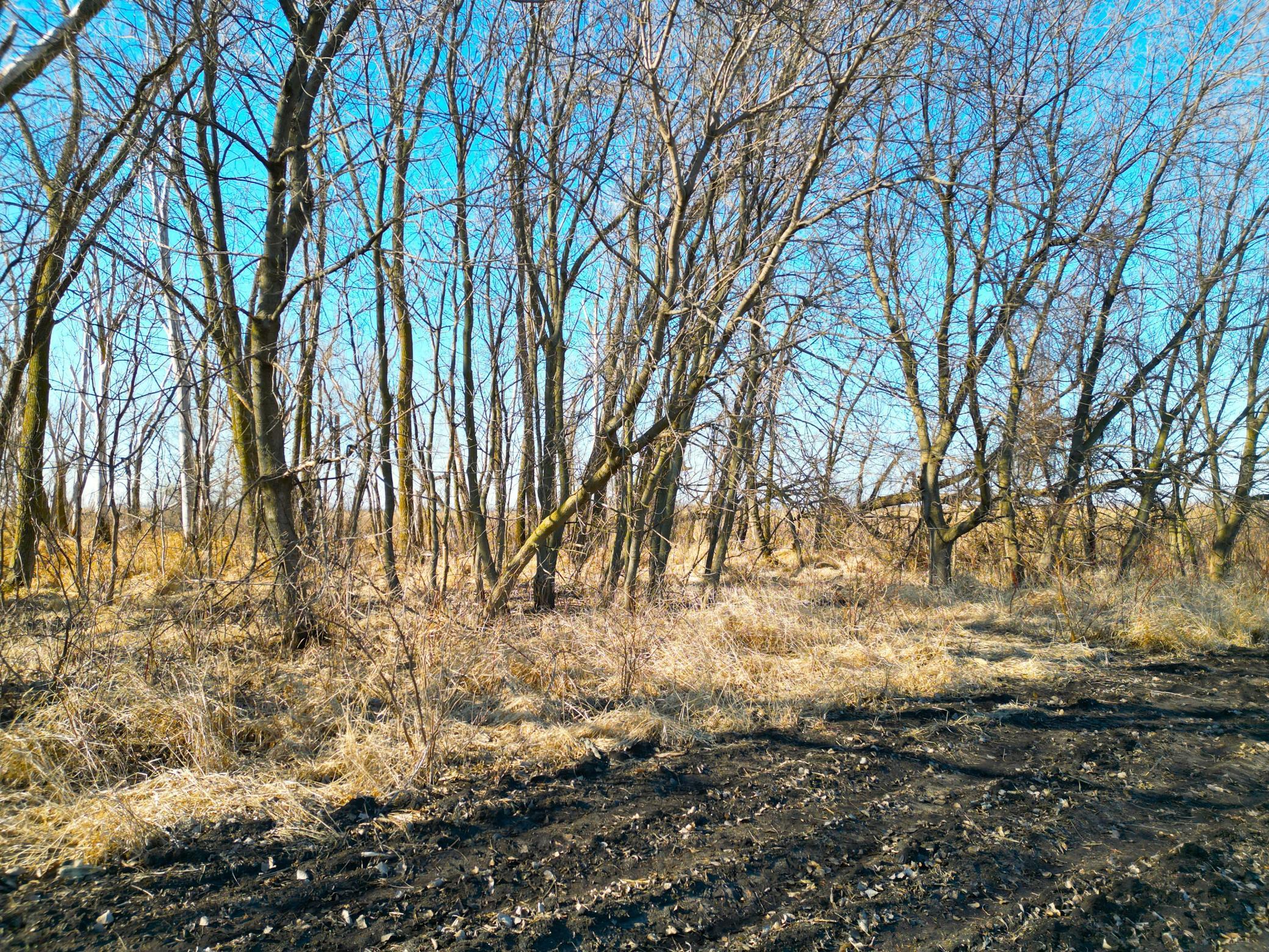 XXX Highway 99, Nicollet, Minnesota image 8
