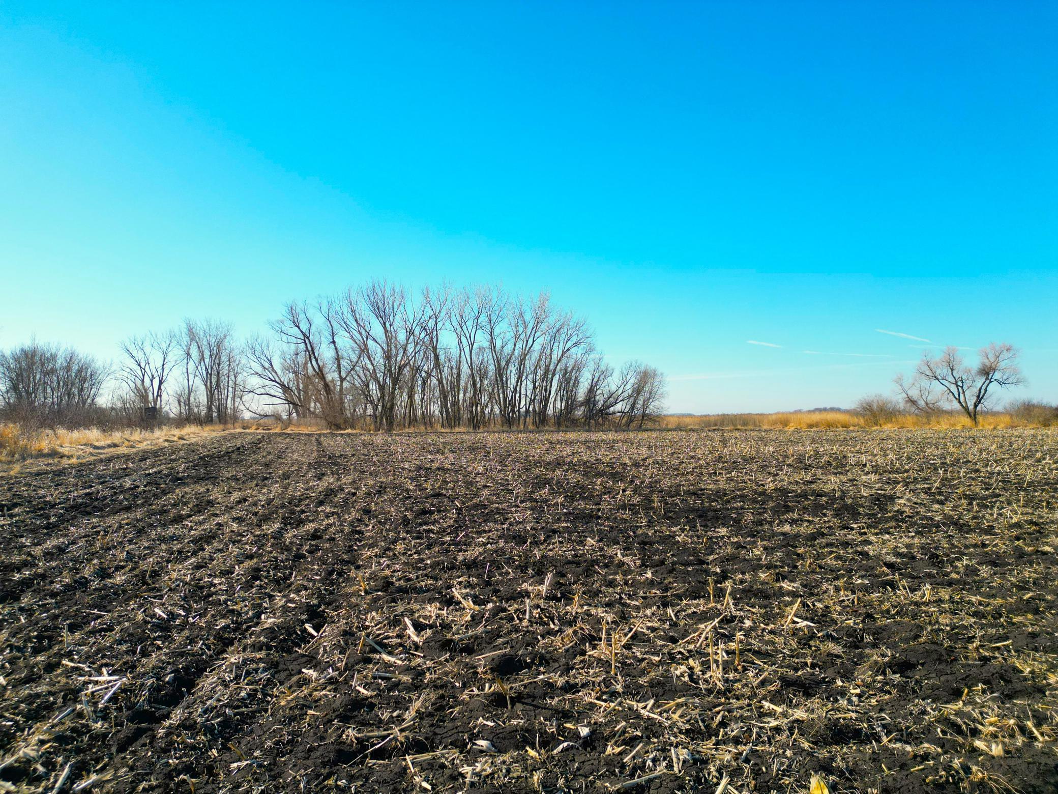 XXX Highway 99, Nicollet, Minnesota image 5