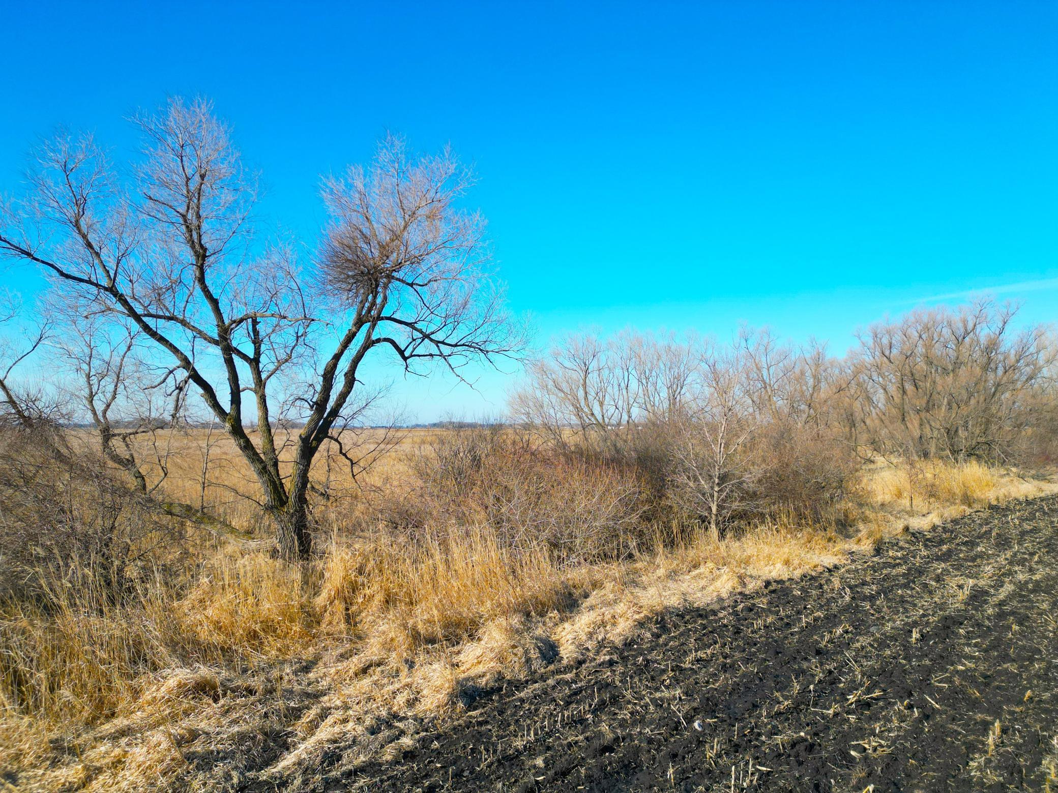 XXX Highway 99, Nicollet, Minnesota image 11