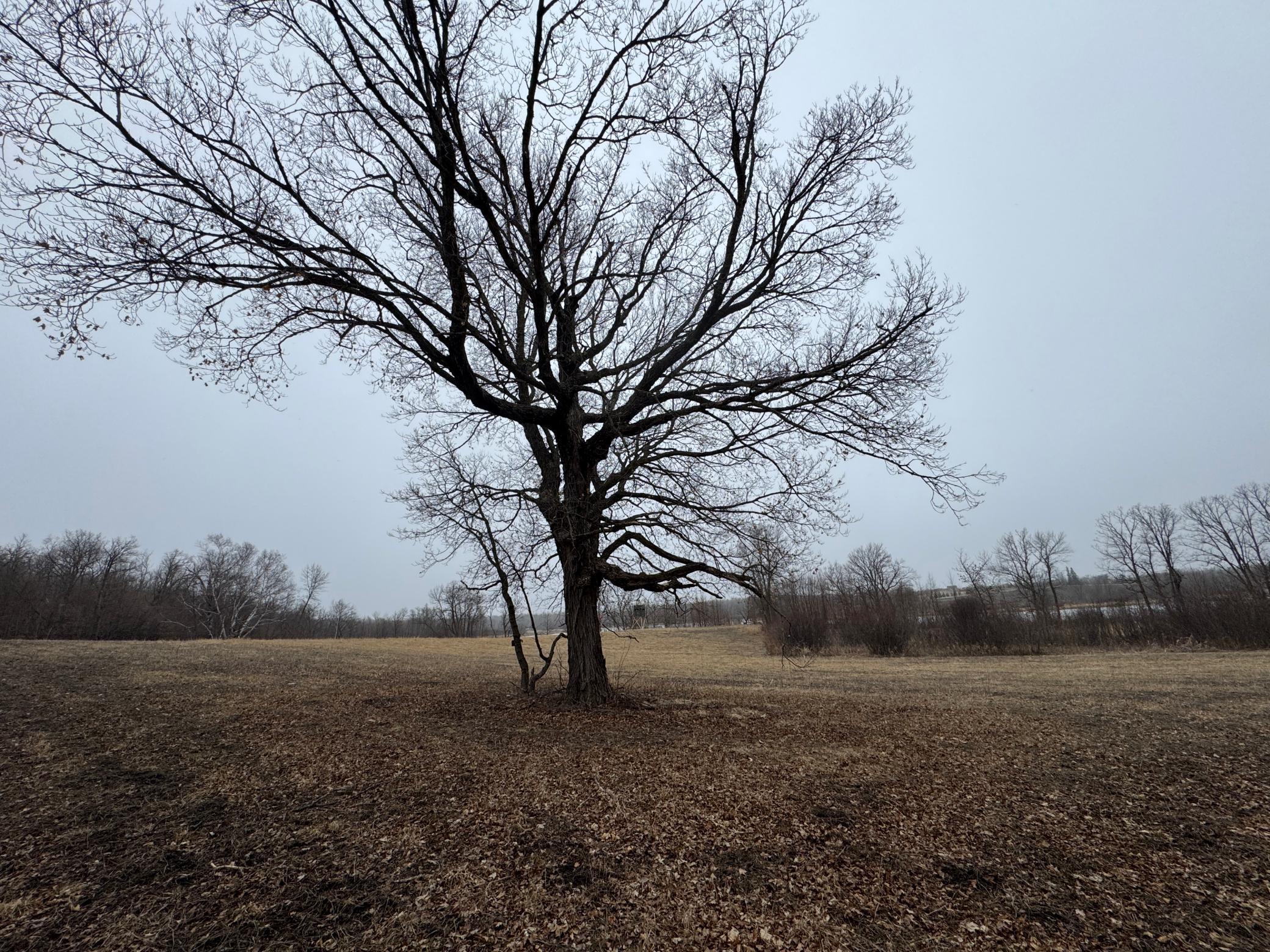 TBD 250th Street, Mahnomen, Minnesota image 49