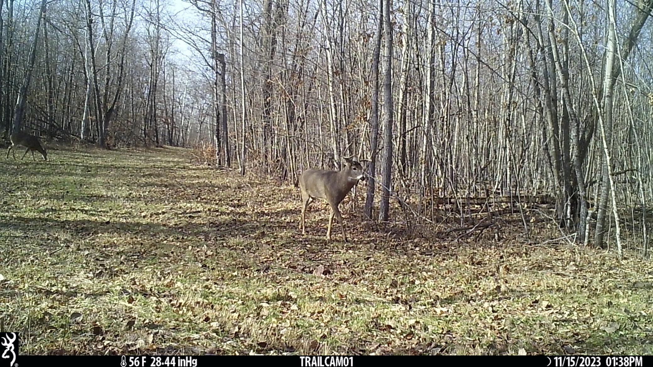 TBD 250th Street, Mahnomen, Minnesota image 23