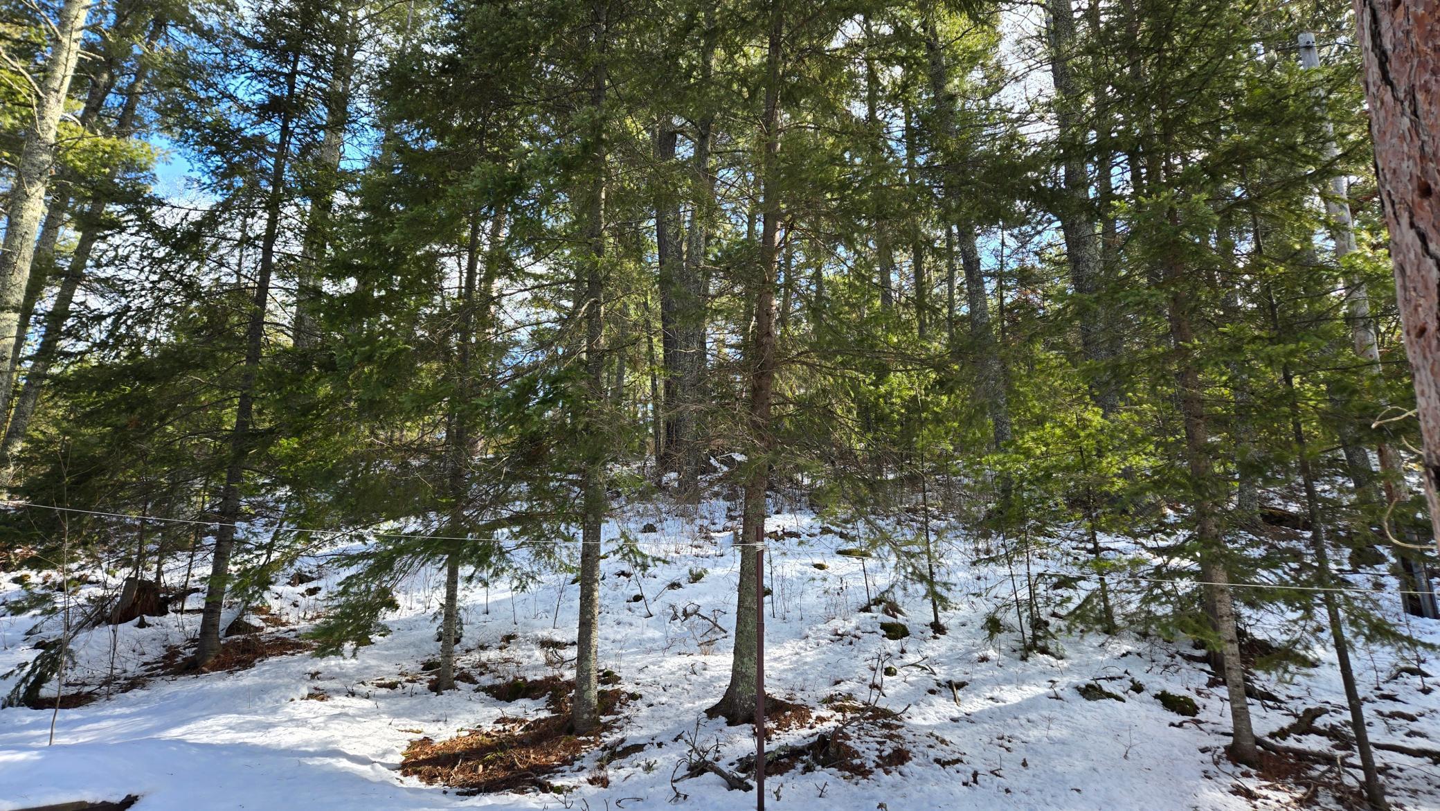 637 Lindgrens Shore, Crane Lake, Minnesota image 14