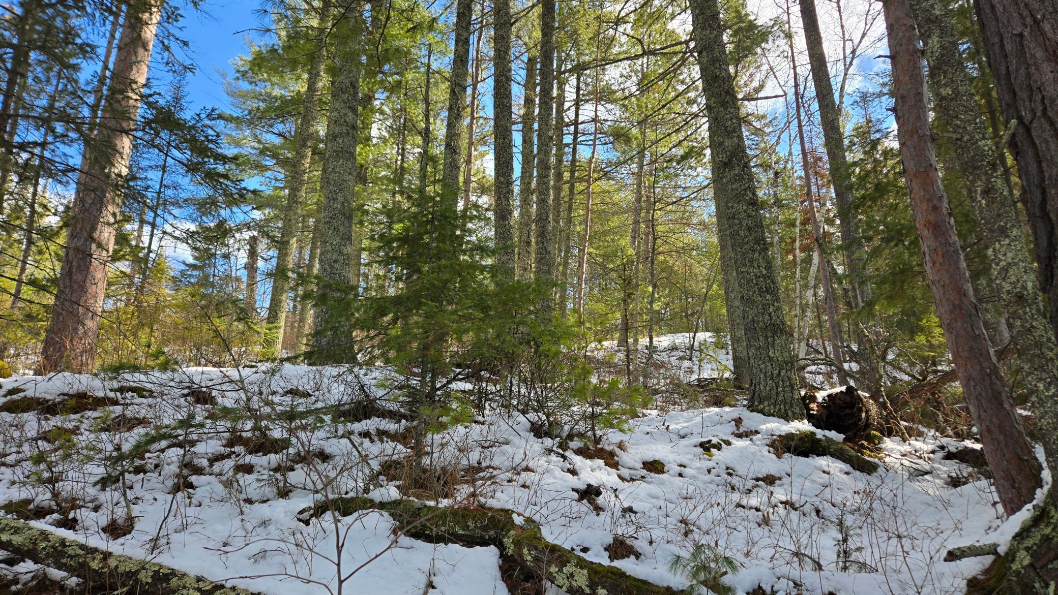 637 Lindgrens Shore, Crane Lake, Minnesota image 15