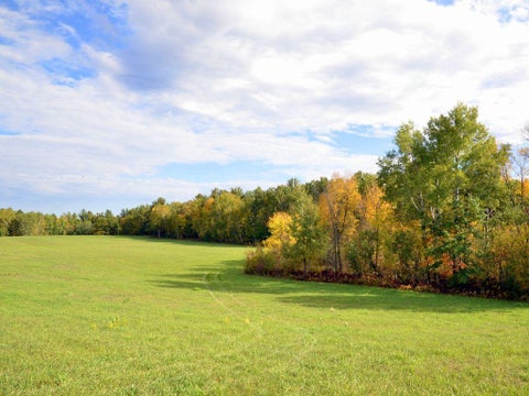Vacant Land For Sale - TBD Juneberry Drive<br/> Hubbard County, Park Rapids, MN 56470