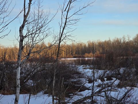 Vacant Land For Sale - TBD Highway 47<br/> Isle, MN 56342