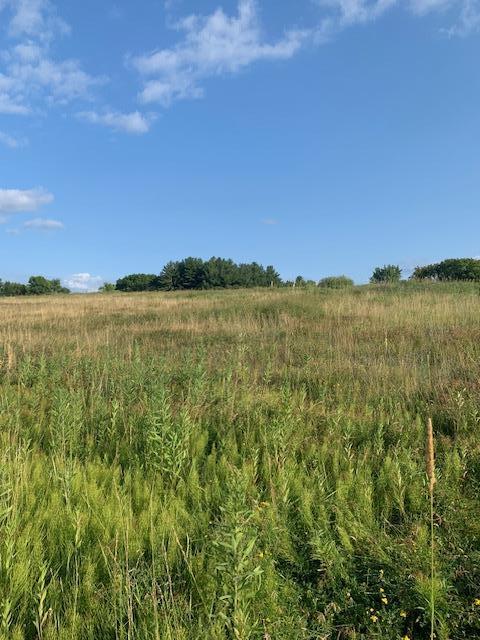 Xxx 218th Street, Scandia, Minnesota image 16