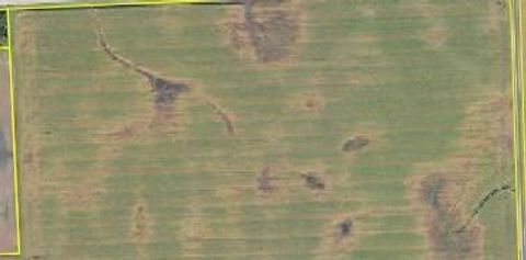 Vacant Land For Sale - 14409 560th Avenue<br/> Donnelly, MN 56235