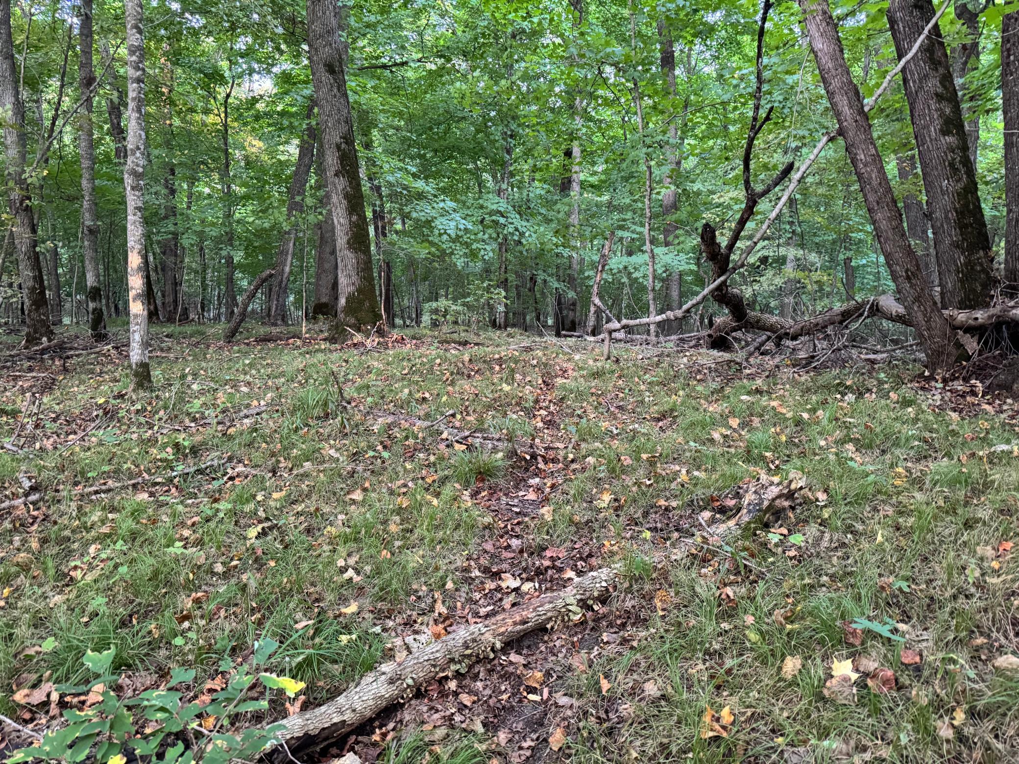 (LOT 2) 24612 NE Rock Lake Road, Rochert, Minnesota image 31