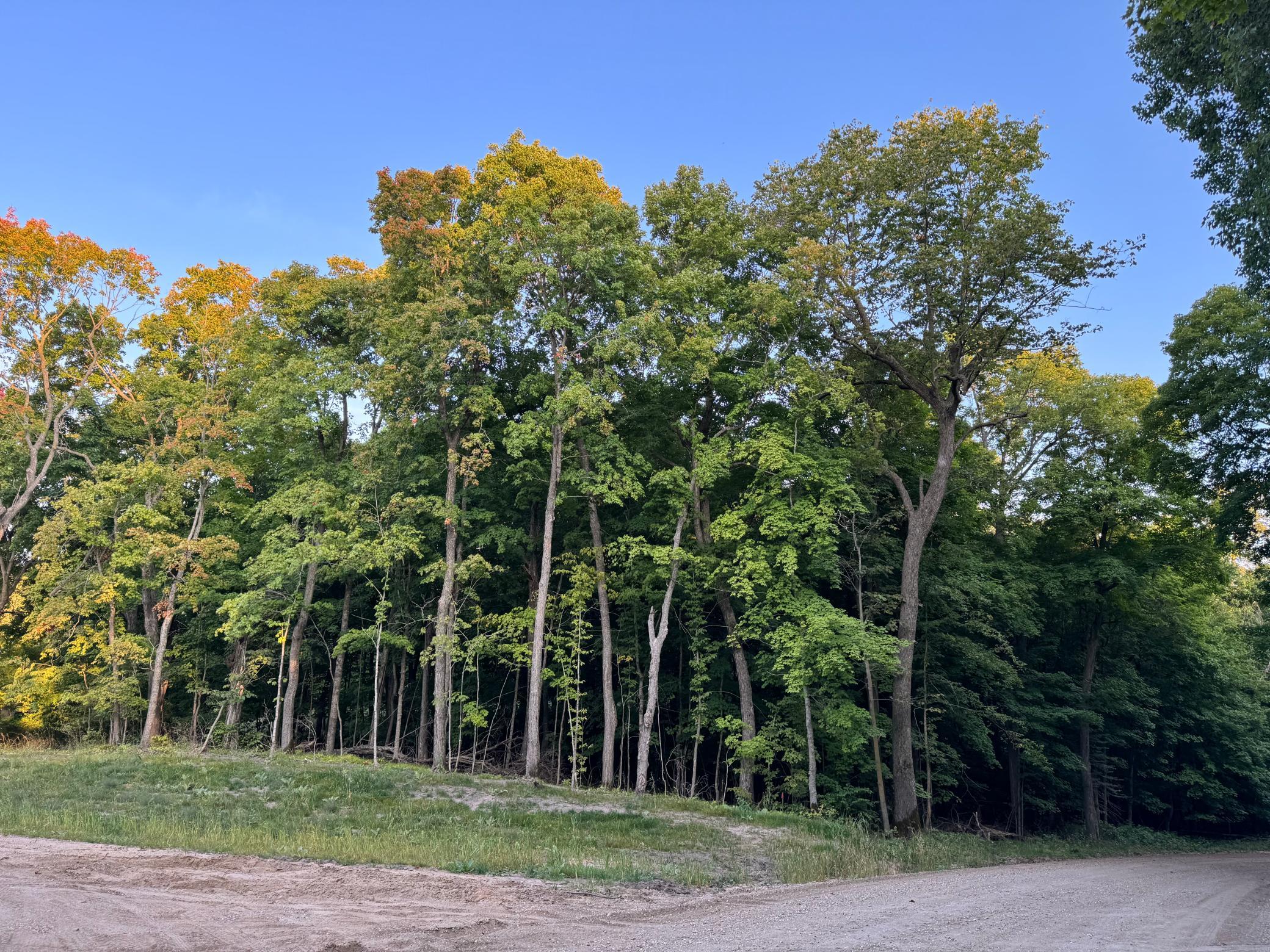 (LOT 2) 24612 NE Rock Lake Road, Rochert, Minnesota image 26